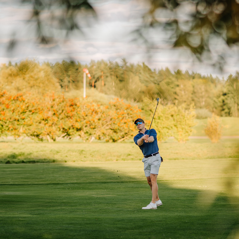 Mann in blauem Poloshirt und hellen Shorts schlägt Golfball auf grünem Golfplatz vor herbstlich gefärbtem Wald.